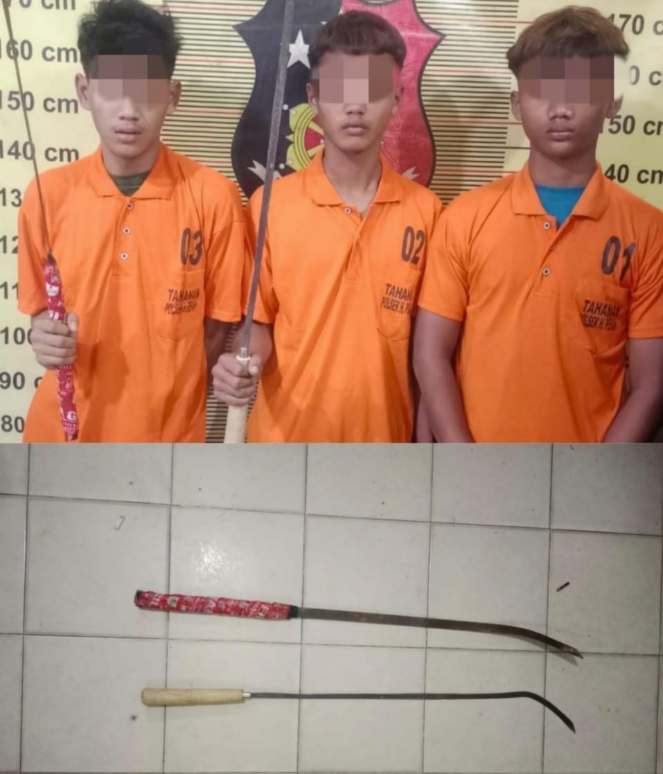 hamparan