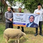 Dini Rahmania Tebar 100 Hewan Qurban Di Probolinggo