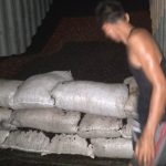 Diduga Aktivitas Perdagangan Palm Kernel Di Pelabuhan Dwikora Pontianak Tidak Dilengkapi Dokumen Sah