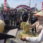 Kehadiran Kadis TPH Kalbar Panen Raya TNI, Wujud Dukungan Ketahanan Pangan Nasional