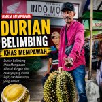 Musim Telah Tiba! Saatnya Berburu Durian Belimbing yang Legit di Pasir Palembang Mempawah Timur