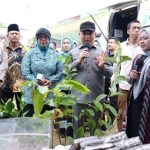 GMD KKU, Dinas TPH Kalbar Beri Konsultasi Hama Tanaman hingga Bibit Jeruk dan Matoa Gratis