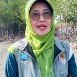 Tanam 300 Pohon Mangrove, Kader Gerindra Dapat Apresiasi DLH Kabupaten Probolinggo