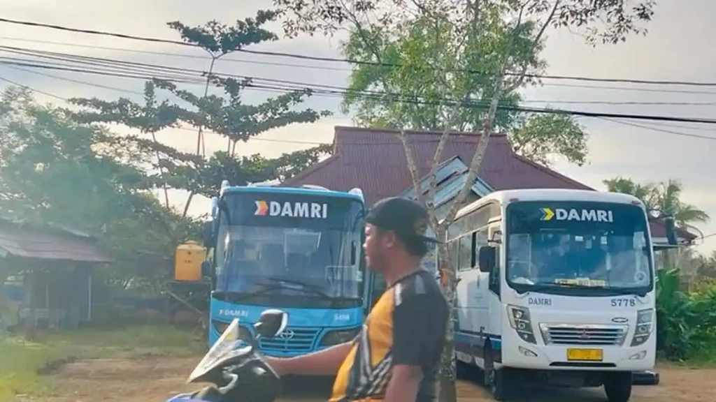 Jangan Sampai Ketinggalan! Ini Jadwal DAMRI Tana Tidung–Malinau