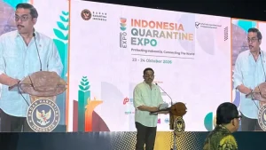 Menteri Maman