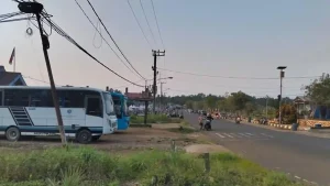 Tampak-Bus-Damri-rute-KTT-Malinau-140926