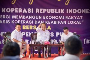 menkop-ferry-kdkmp-percepat-kdkmp-toba