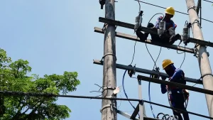 petugas-pln-malang-lakukan-perawatan-jaringan-listrik