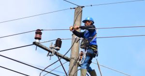 petugas-pln-melukakan-pemeliharaan-jaringan-listrik
