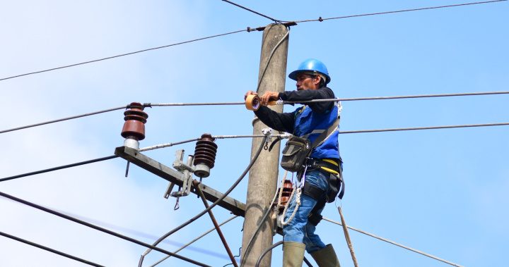 petugas-pln-melukakan-pemeliharaan-jaringan-listrik
