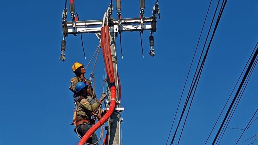 pln